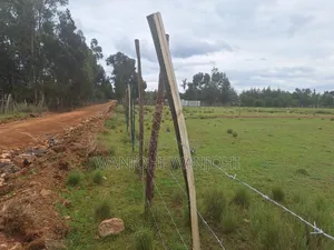 Leshau, Nyahururu Prime Plots
