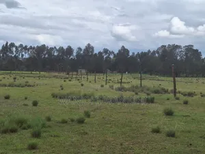 Leshau, Nyahururu Prime Plots