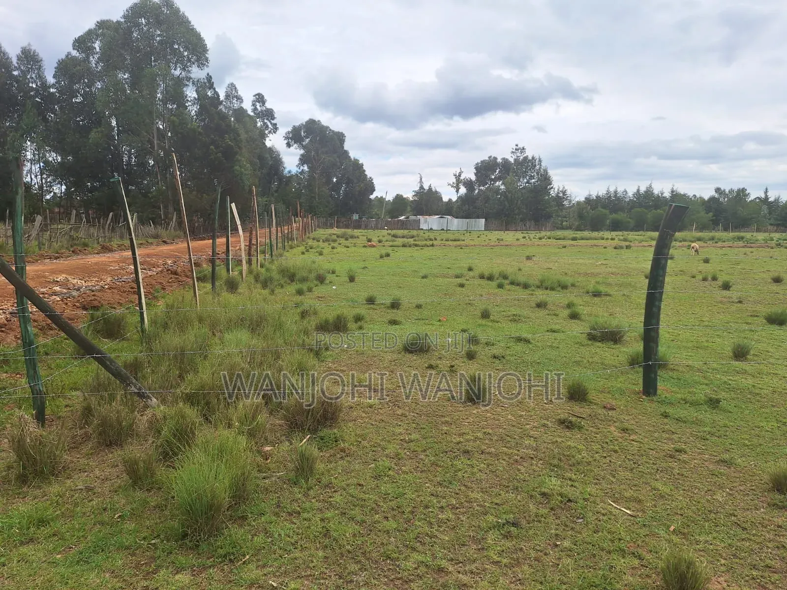 Leshau, Nyahururu Prime Plots