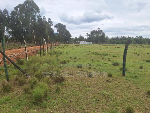 Leshau, Nyahururu Prime Plots - thumbnail 7