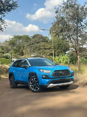 Toyota RAV4 Adventure 2019 Blue
