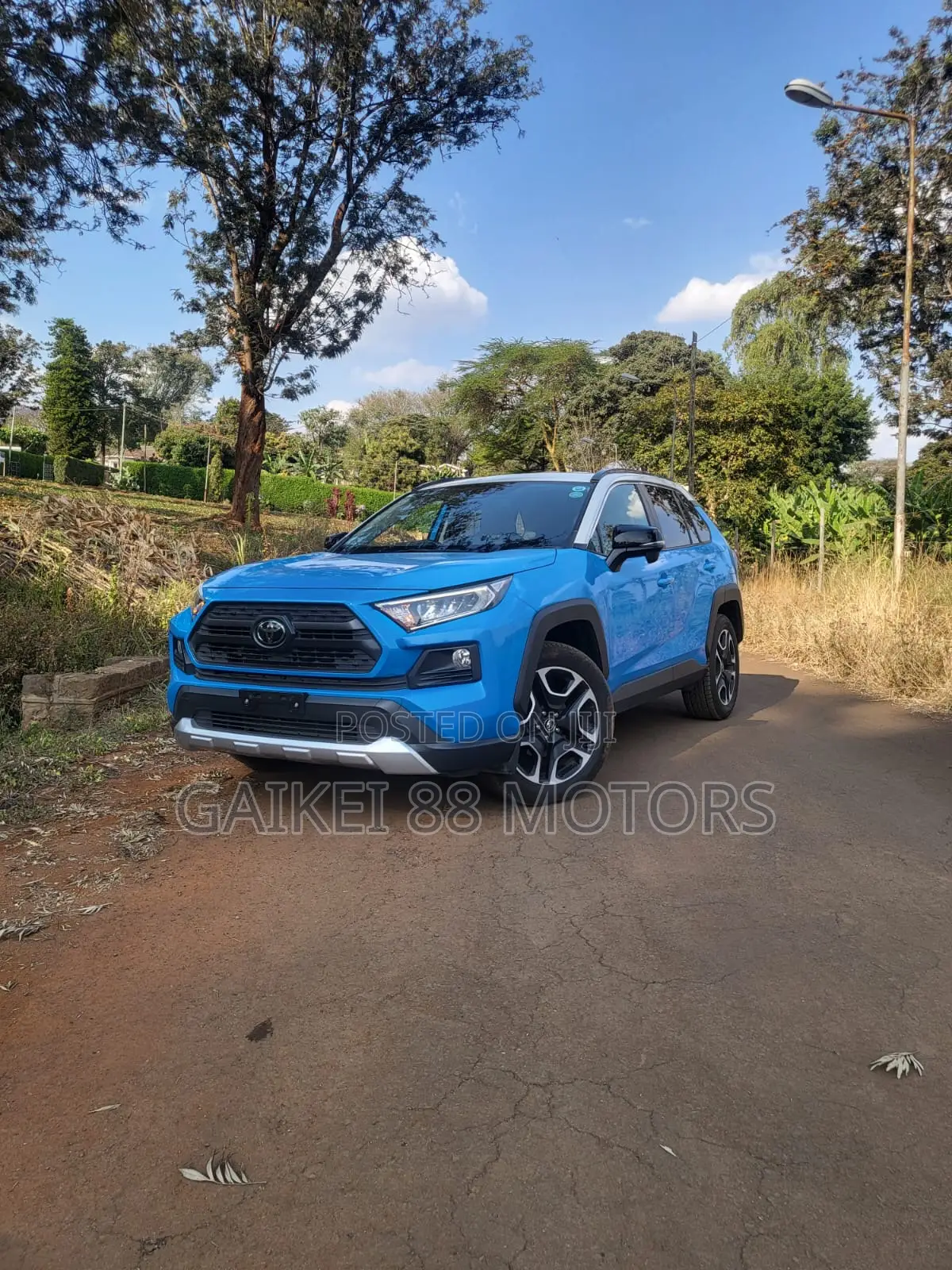 Toyota RAV4 Adventure 2019 Blue