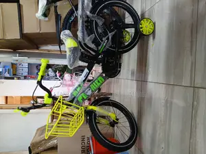 Premier Boys Girls Bike – 16 Inch Kids Bicycle With Support Wheels