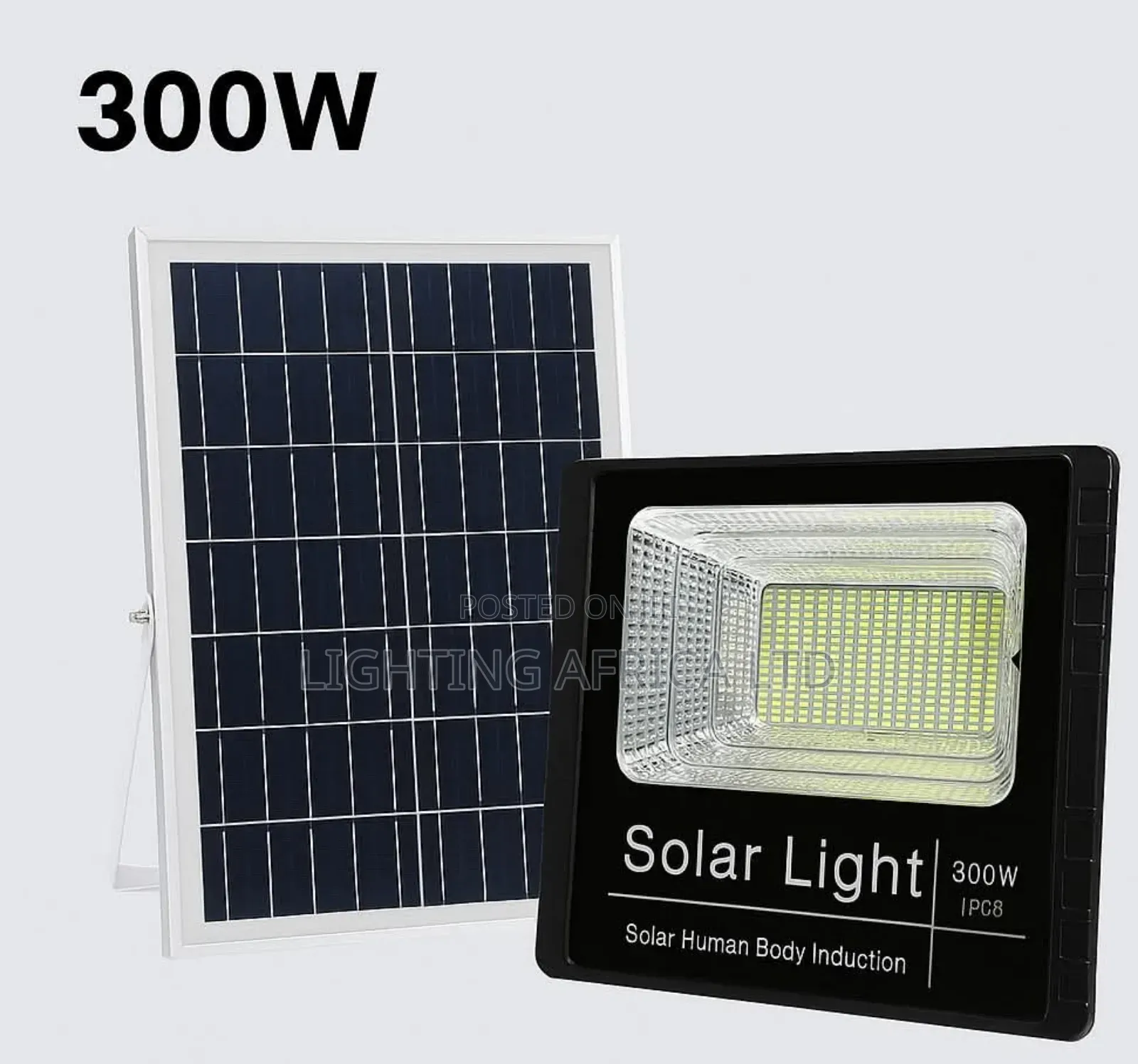 300 Watts Solar Floodlight Dc Security 12hrs