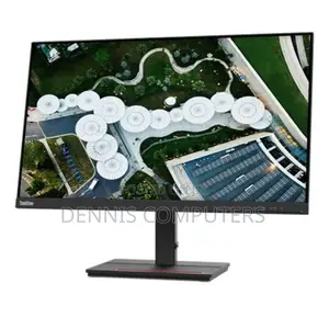 Lenovo Thinkvision P24h-30 QHD Monitor