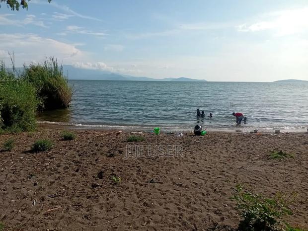 3 and a Half Acres Beach Land in Rusinga Island - thumbnail 3