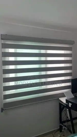 Light When You Want It. Privacy When You Need It- Zebra Blinds