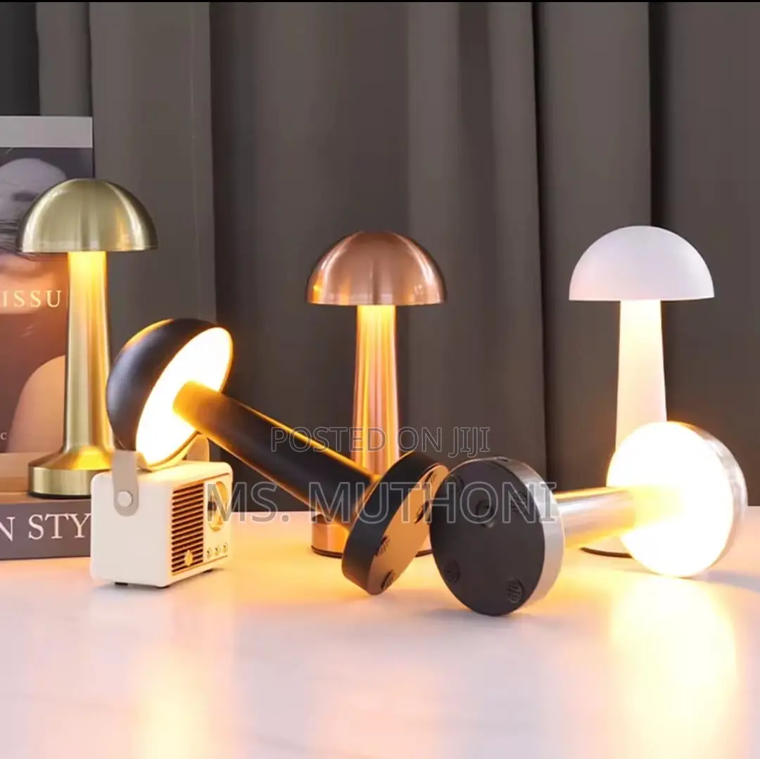 Rechargeable, Cordless Led Table Lamp With a Metal Body