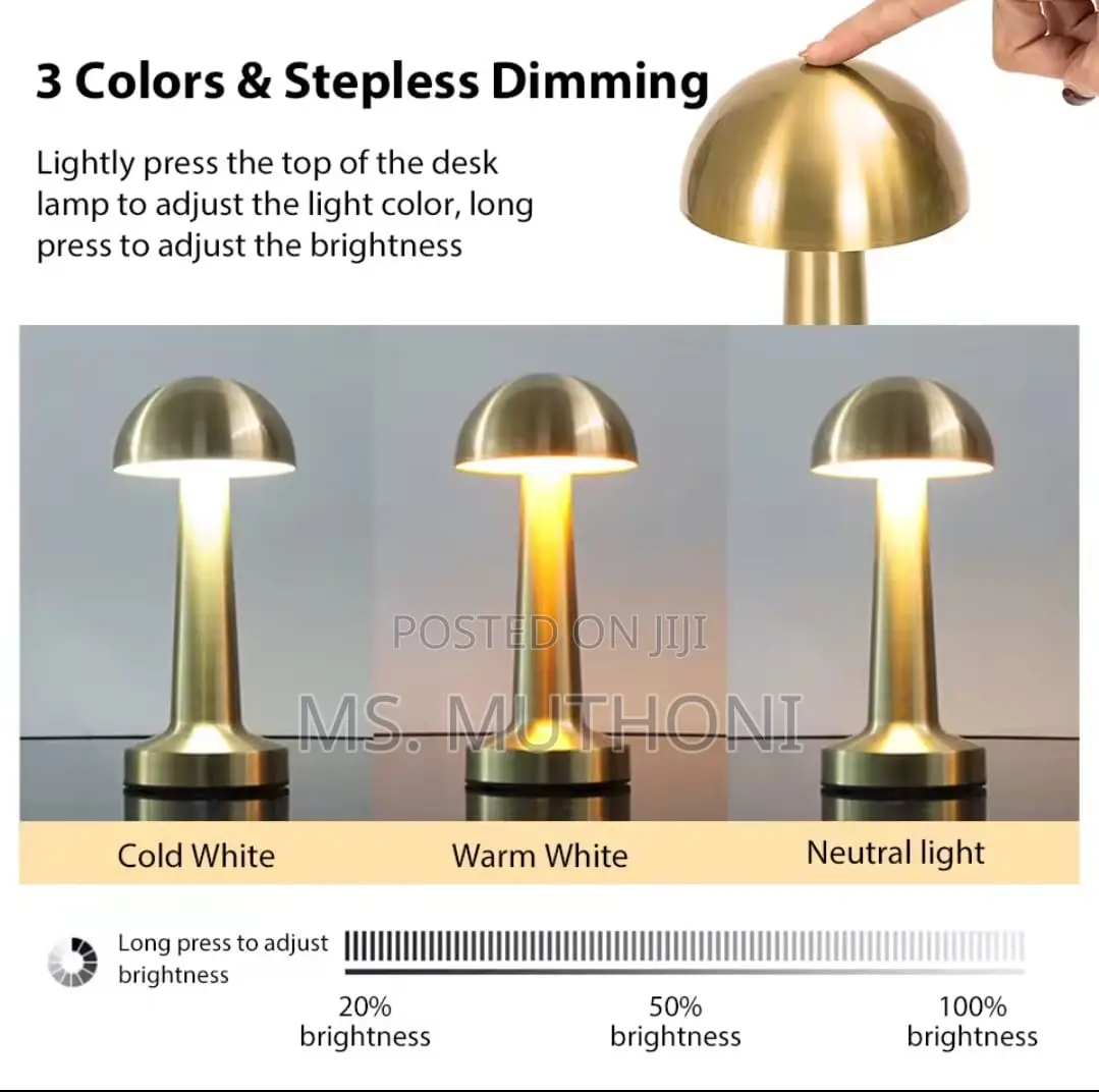 Rechargeable, Cordless Led Table Lamp With a Metal Body