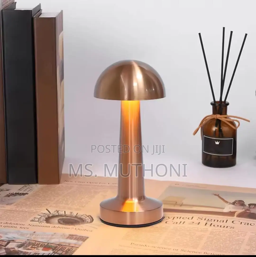 Rechargeable, Cordless Led Table Lamp With a Metal Body