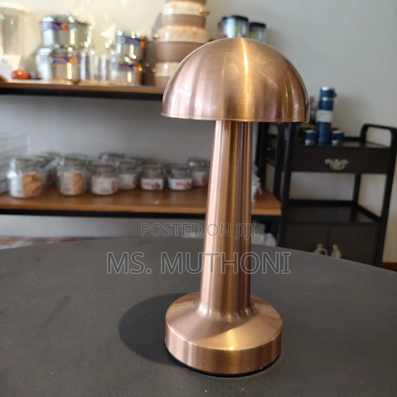 Rechargeable, Cordless Led Table Lamp With a Metal Body