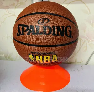 Spalding Basketball