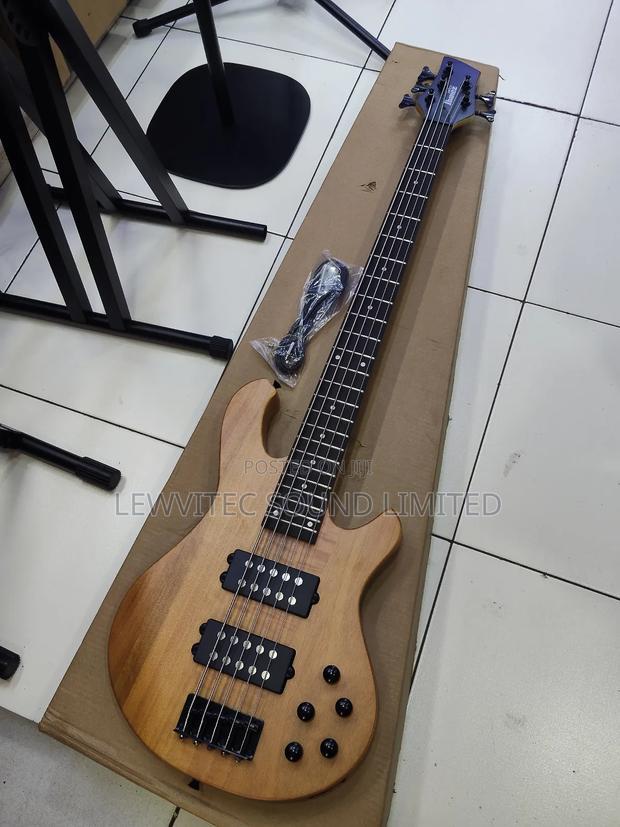 Ibanez Active 5 String Guitar