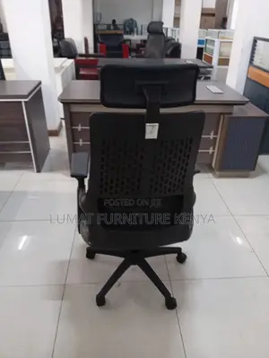 Health-Focused Office Chair