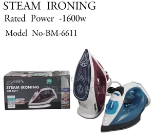 1600w Steam Irion Box