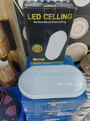 Burkherd 15w Led Surface Mount Oval Ceiling Light