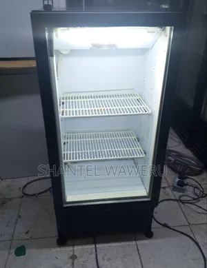 2 Trays Display Refrigerator 