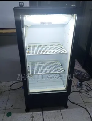 2 Trays Display Refrigerator 
