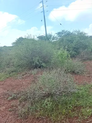 Land for Sale in Makindu Kisingo 150 Acres Going for Discount of