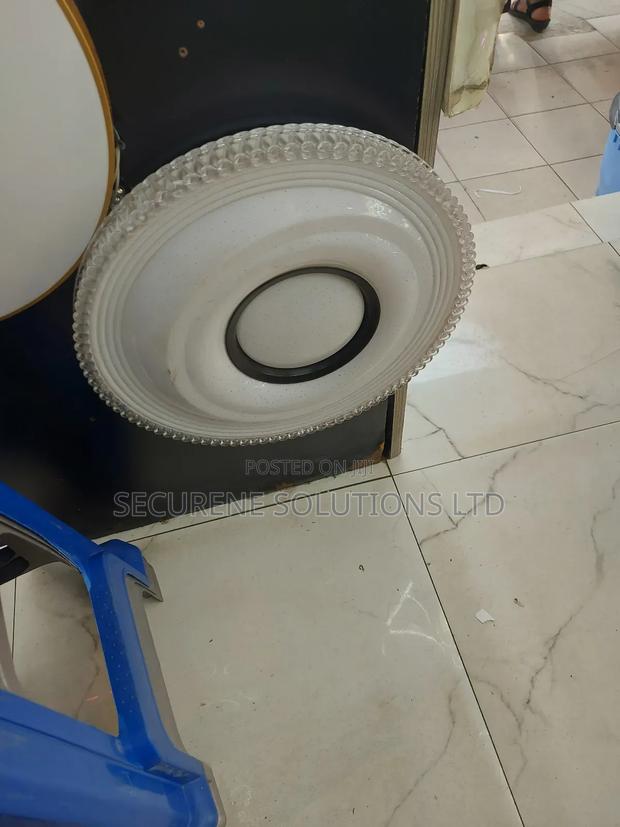 Decorative Led Ceiling Light.