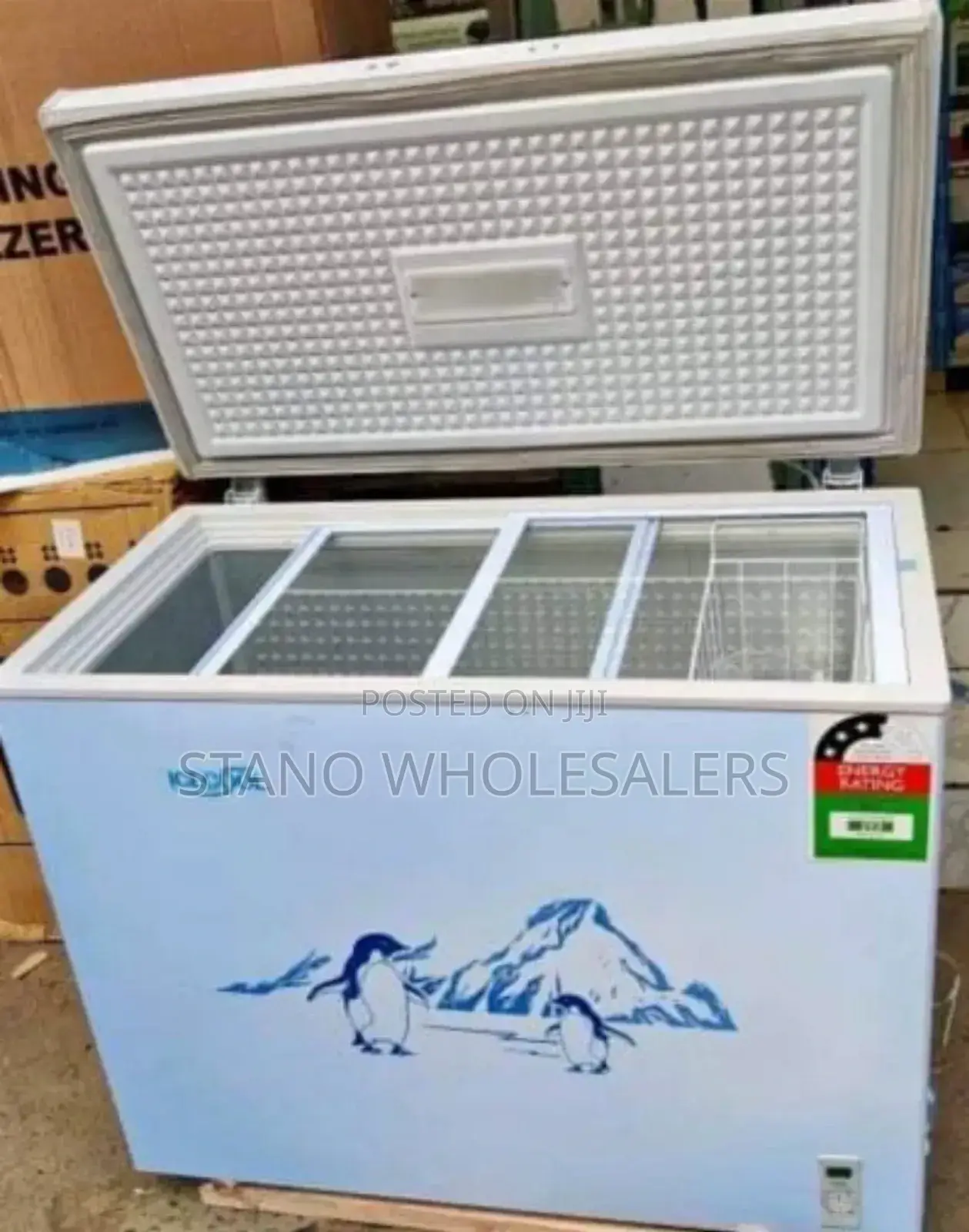 Ecomax Deep Chest Freezer 219lt