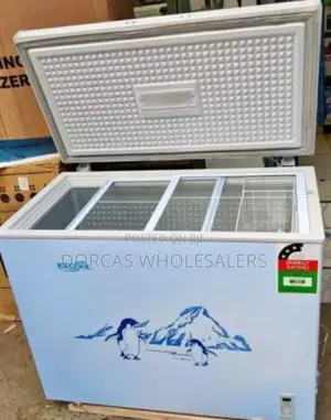 Ecomax Deep Chest Freezer 219lt