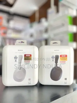 Sony Wh-1000xm6 Noise Canceling Wireless Headphones