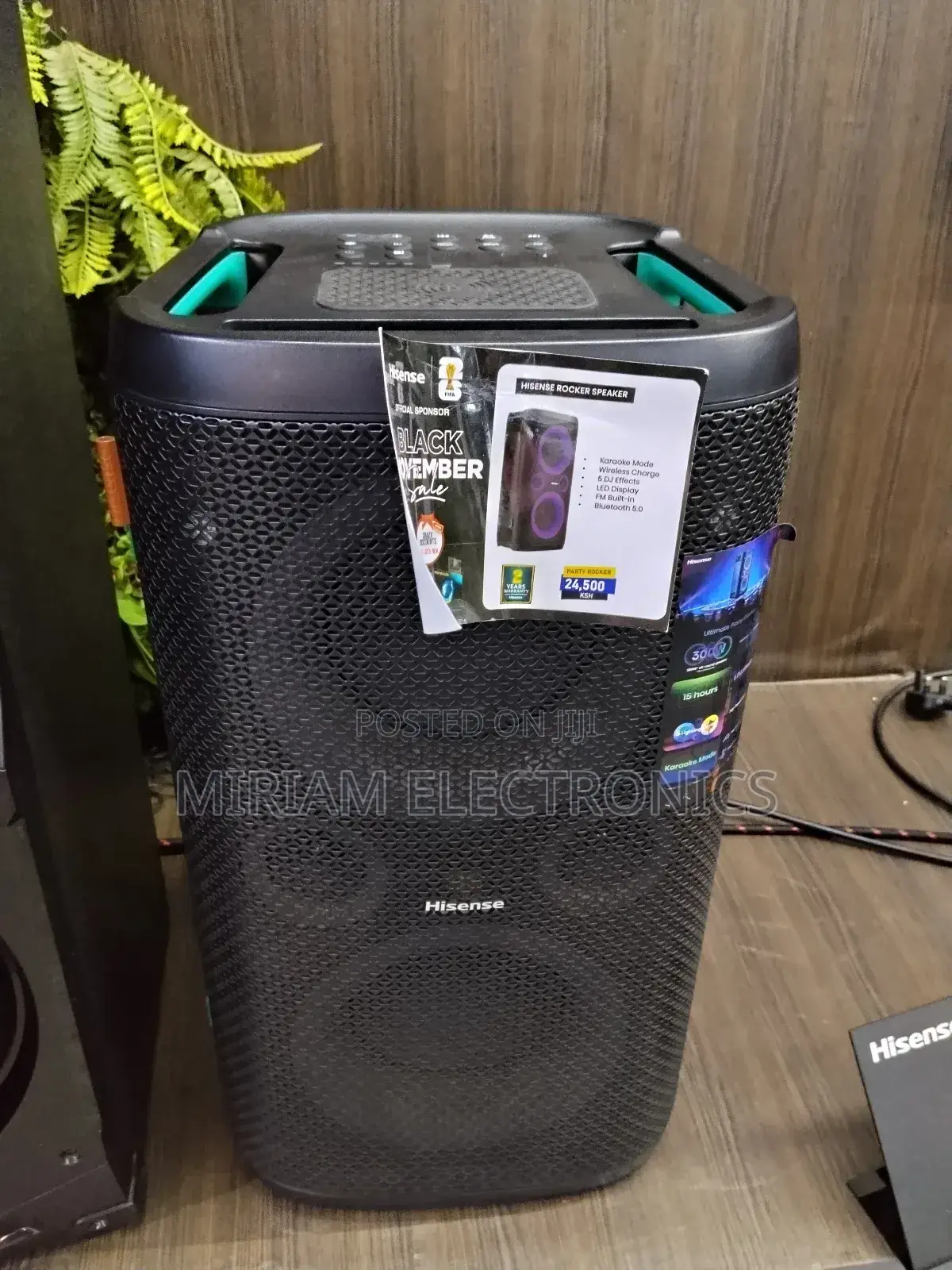 Hisense 300 Watts Party Rocker