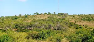 8 Acres of Land for Sale at Majenjeni Sabaki