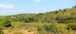 8 Acres of Land for Sale at Majenjeni Sabaki