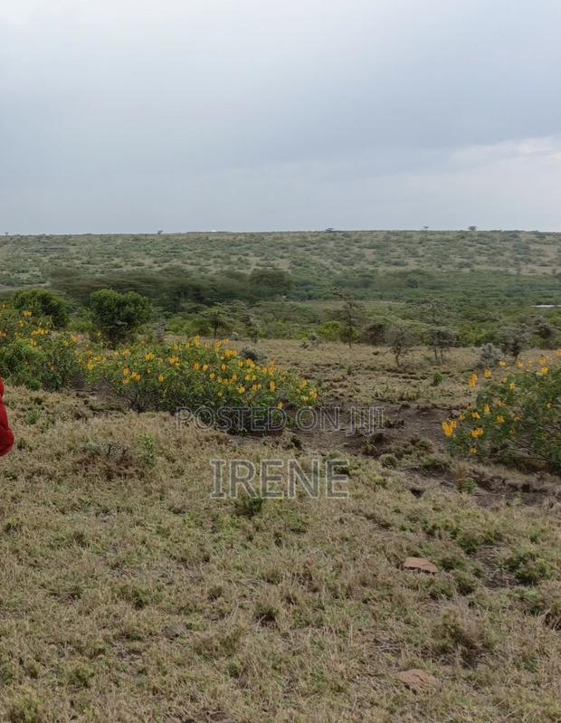 Land for Sale - thumbnail 2