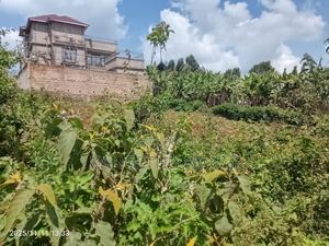 50 X 100 Waguthū Four Way - main view