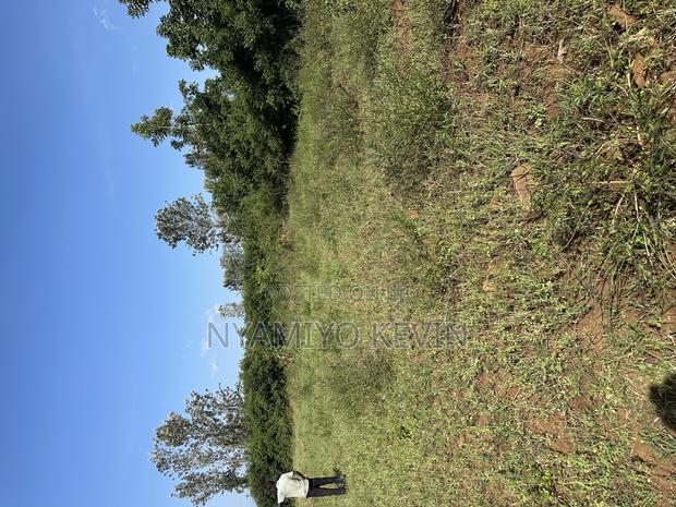 Sakwa Manyonge - thumbnail 3