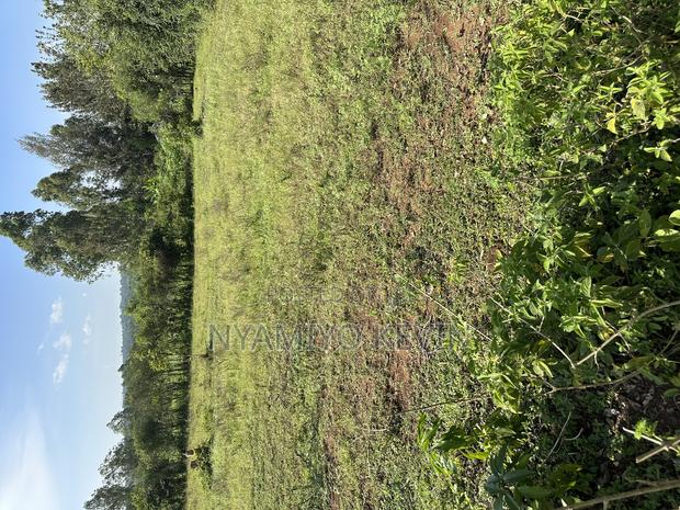 Sakwa Manyonge - thumbnail 5