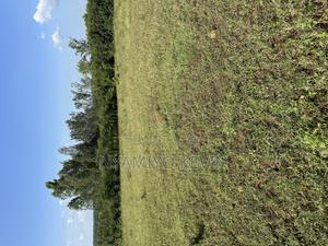 Sakwa Manyonge - thumbnail 2