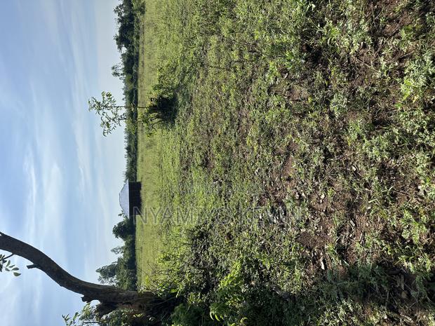 Sakwa Manyonge - thumbnail 6