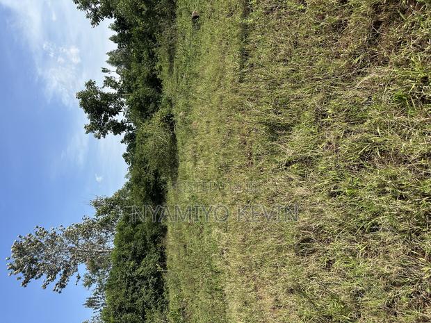 Sakwa Manyonge - thumbnail 4