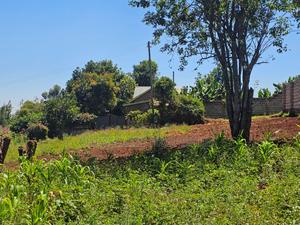 Prime 1⁄4 Acre Plot – Kinoo - main view