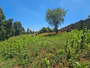 Prime 1⁄4 Acre Plot – Kinoo - thumbnail 2
