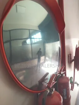 Convex Mirror~Convex Mirror (80cm)