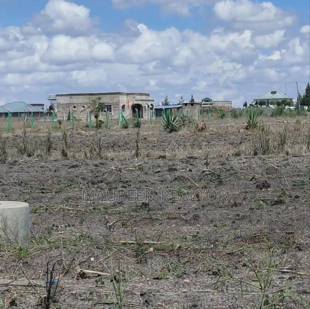 Prime Plots 40x80 Joska Sunshine - thumbnail 3