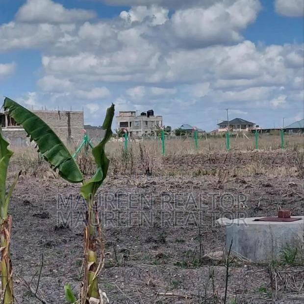 Prime Plots 40x80 Joska Sunshine - thumbnail 4