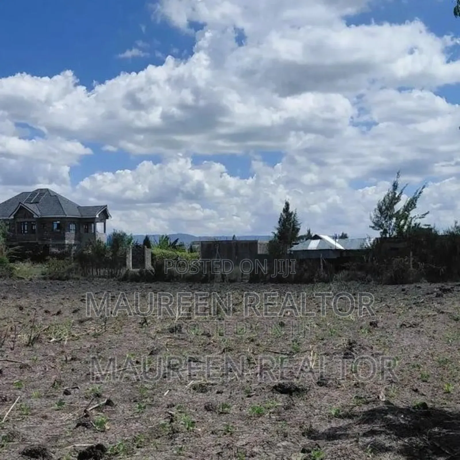 Prime Plots 40x80 Joska Sunshine