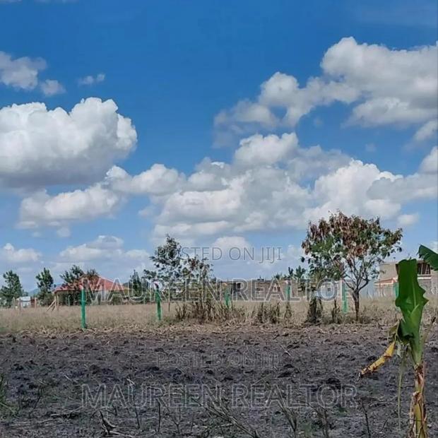 Prime Plots 40x80 Joska Sunshine - thumbnail 6