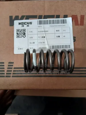 Weichai Valve Spring (4-Valve Engine)