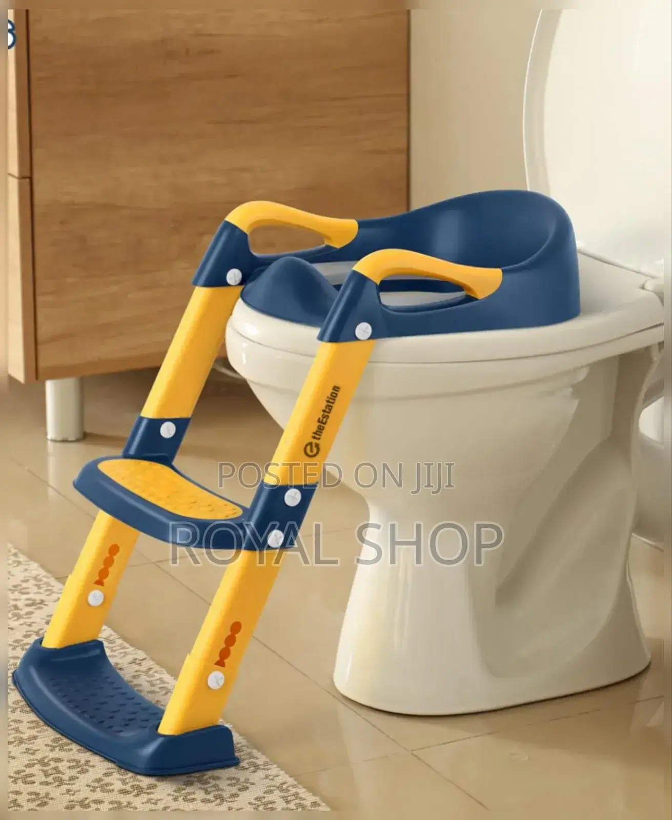 Toilet Ladder