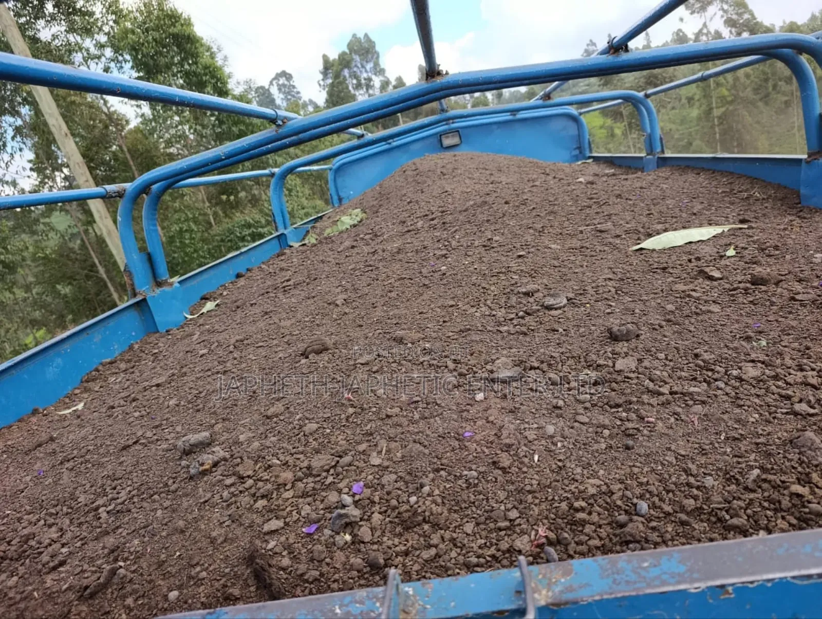 Manure,Mixture Of Goat & Cow