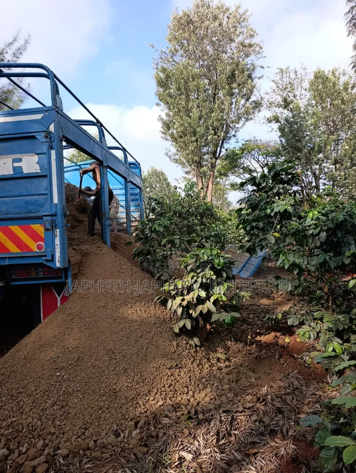 Manure,Mixture Of Goat & Cow