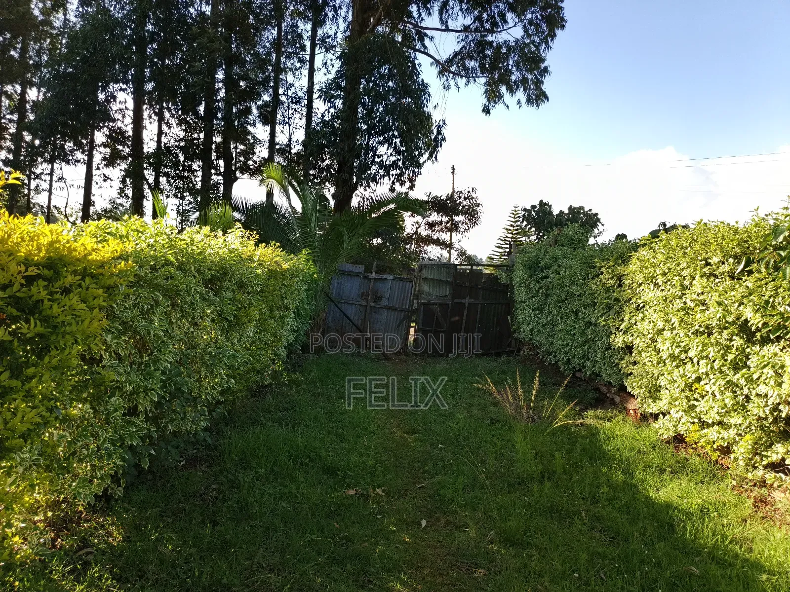 Karatina/ Ngandu 1 Acre With a House.