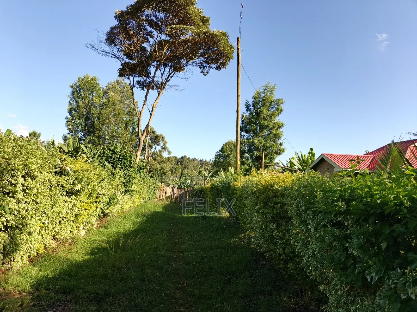 Karatina/ Ngandu 1 Acre With a House.